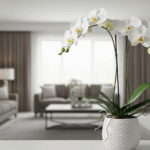 新築祝いで義両親からのお返しは？マナーと胡蝶蘭の魅力