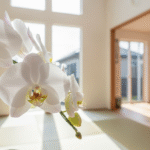 新築祝い 使い道の決定版！胡蝶蘭という最高の選択肢