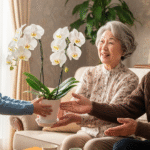 敬老の日だから胡蝶蘭を贈る！通販での選び方やマナーを解説