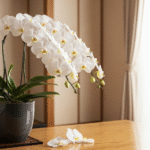 還暦祝いの費用負担は誰が？相場や兄弟での分担方法を解説