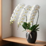 還暦祝い 義両親への贈り物｜失敗しない選び方とマナー