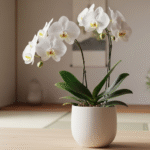 敬老の日 嫁の悩み解決！義実家が喜ぶプレゼント選びのコツ