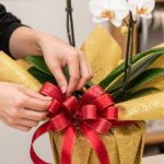 誕生祝いギフト胡蝶蘭の選び方｜マナーを守って最高のプレゼントを