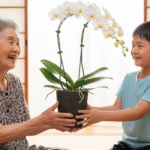 敬老の日、ひ孫からの贈り物に胡蝶蘭を。感動を呼ぶ選び方