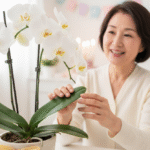 還暦祝いの乾杯の挨拶は誰が？最適な人選と心に響く例文集