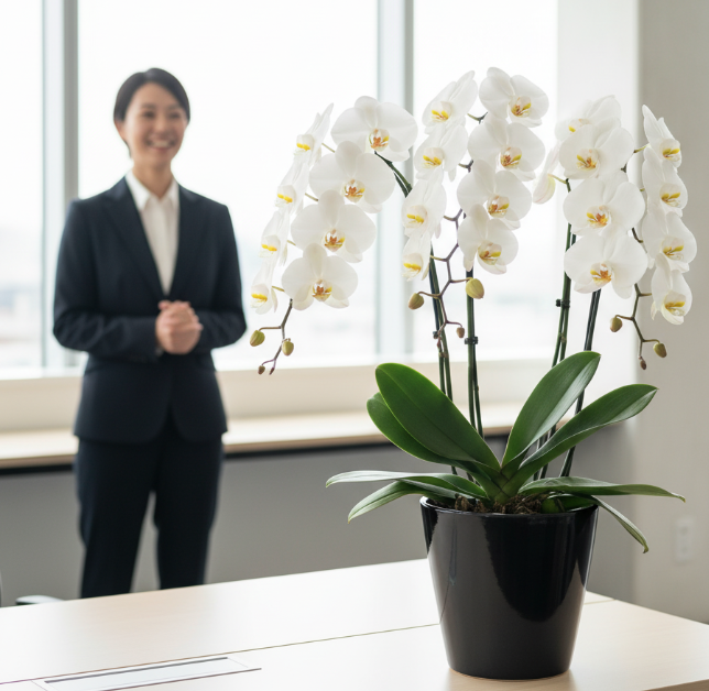 同期の昇進祝いの決定版！マナーからプレゼント選びまで完全解説