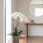 新築祝いのお返しを祖父母へ！相場やマナー、喜ばれる品物を解説