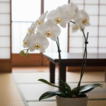 お悔やみメールで合掌は失礼？宗教別のマナーと文