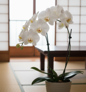 お悔やみメールで合掌は失礼？宗教別のマナーと文