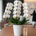 就任祝いの司会進行ガイド｜台本からマナーまで完全解説