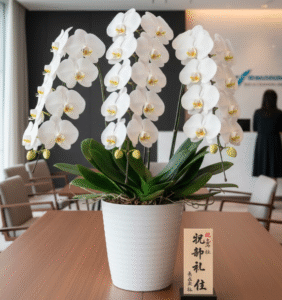 就任祝いの司会進行ガイド｜台本からマナーまで完全解説