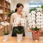 胡蝶蘭ギフトなら花秘書！評判やマナー、失敗しない選び方