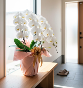 娘夫婦の新築祝い相場とマナー解説！胡蝶蘭の通販が最適