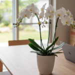 母の日ありがとう 返信に悩んだら｜感謝が伝わる例文と贈り物