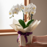 ミニ胡蝶蘭をお供えに　通販で失礼なく贈るマナーと選び方