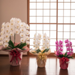 還暦祝いを兄弟で負担する際の相場とトラブルを避けるマナー