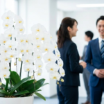 事務所への新築祝いマナー完全ガイド！相場や胡蝶蘭などのおすすめギフト