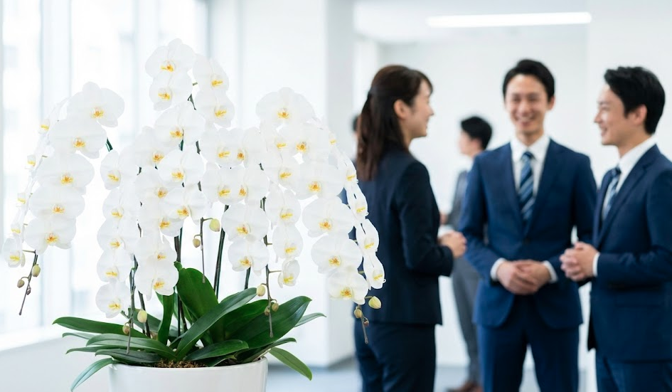 事務所への新築祝いマナー完全ガイド！相場や胡蝶蘭などのおすすめギフト