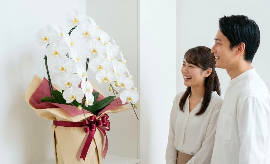 新築祝いの手作りギフトはマナー違反？喜ばれる選び方と胡蝶蘭の魅力