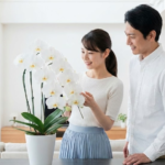 昇進祝いのメッセージを夫へ！感動例文と胡蝶蘭で祝うマナー