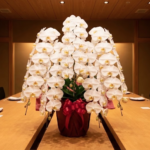 還暦祝いがめんどくさい悩みを解決！喜ばれる胡蝶蘭ギフトの魅力