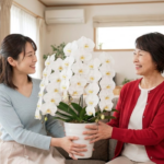 義両親の還暦祝いで嫁が贈るべきマナーとおすすめの胡蝶蘭