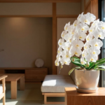 息子への新築祝いの相場とマナー決定版！親として贈る人気の品や胡蝶蘭の選び方