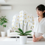 新築祝いをあげないのはマナー違反？兄弟や友人間の判断基準と代替案