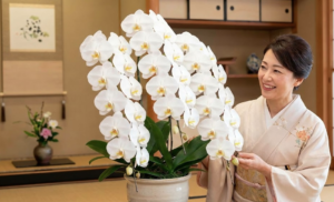 新築祝い 断り方のマナーと角が立たない丁寧な辞退の例文集