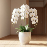 二世帯 新築祝いの相場とマナー！喜ばれるギフトと胡蝶蘭の贈り方