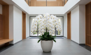 息子夫婦への新築祝いに喜ばれるマナーと胡蝶蘭ギフトの選び方