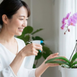 義母の還暦祝いで嫁が選ぶ最高の贈り物とマナー解説