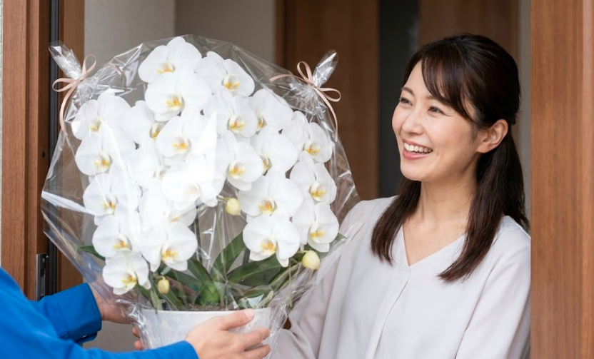 義理姉の新築祝いを成功させるマナーと相場｜喜ばれる胡蝶蘭ギフトの選び方