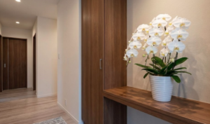 長男新築祝いで喜ばれるマナーと相場！最高のギフト胡蝶蘭の選び方