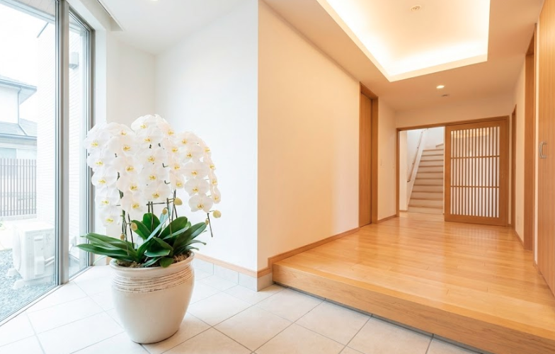 娘夫婦新築祝い相場はいくら?親が贈る現金や胡蝶蘭のマナー