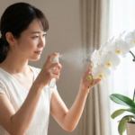 二世帯住宅新築祝いの相場やマナーは？喜ばれる胡蝶蘭の贈り方と選び方