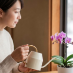 失敗しないミニ胡蝶蘭の水やりと長く楽しむ育て方の完全ガイド