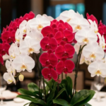 還暦祝いに車を贈る予算相場と喜ばれる演出！最適な胡蝶蘭の選び方