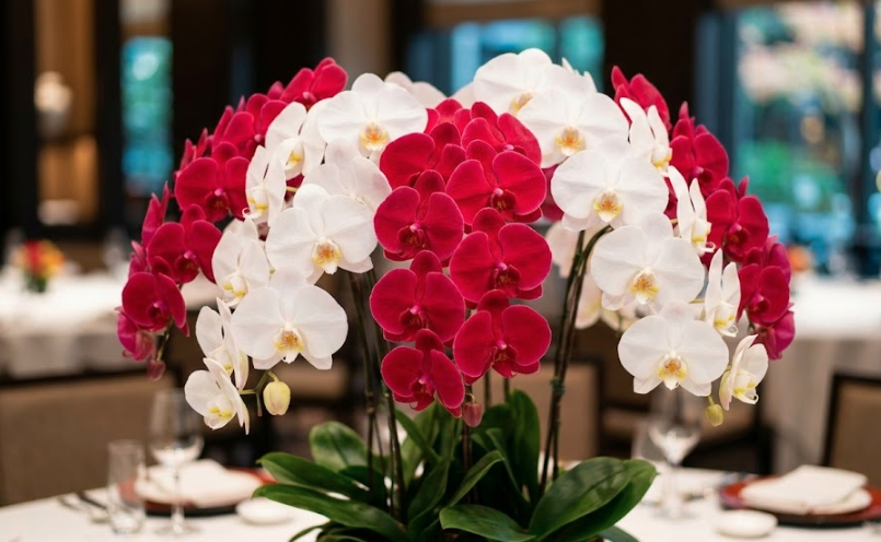 還暦祝いに車を贈る予算相場と喜ばれる演出!最適な胡蝶蘭の選び方