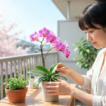 ミニ胡蝶蘭に肥料はいつ、どう与える？失敗しないための完全ガイド