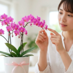 ミニ胡蝶蘭の品種2025年最新ガイド｜初心者におすすめの人気5選と失敗しない選び方
